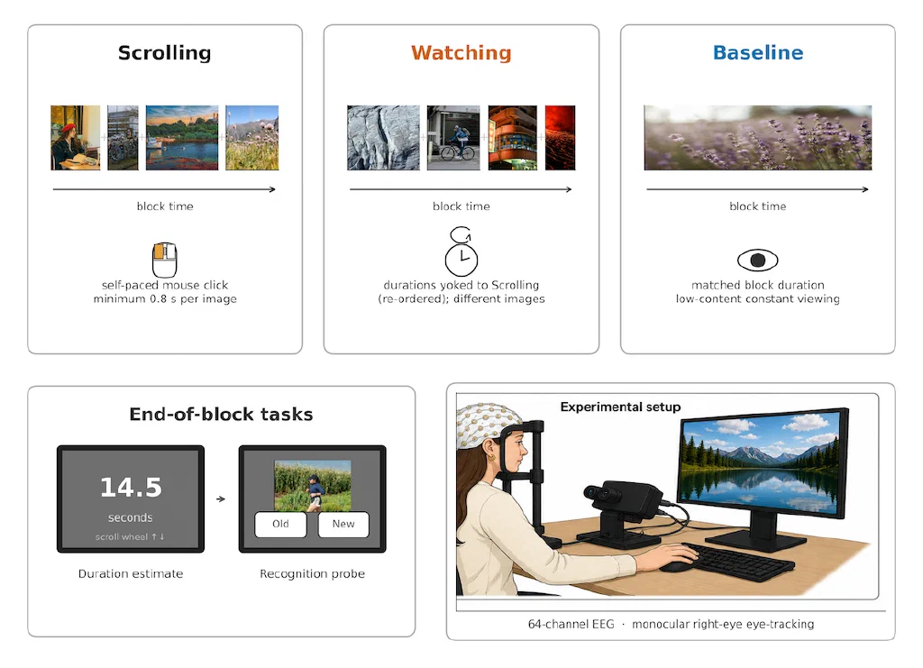 Study diagram showing Scrolling, Watching, and Baseline conditions, duration and recognition tasks, and the EEG and eye-tracking setup.